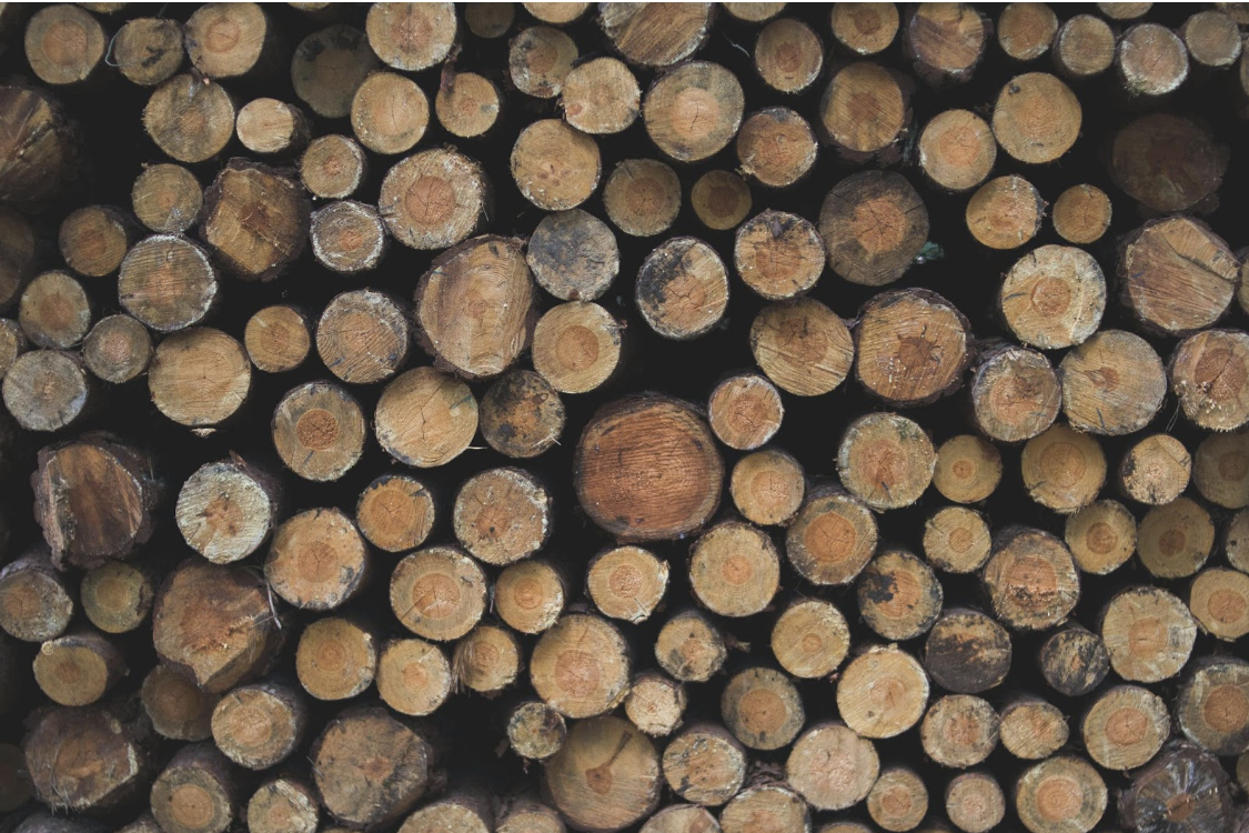 Wooden logs are stacked in a pile.